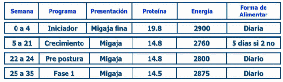 Manejo de Reproductores - Image 3