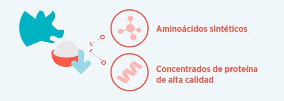 tipos de materias primas