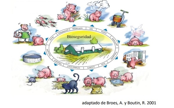 Bioseguridad, el Concepto - Image 4