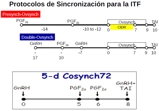 Eficiencia Reproductiva en el Ganado Lechero y su Recuperación Económica - Image 8