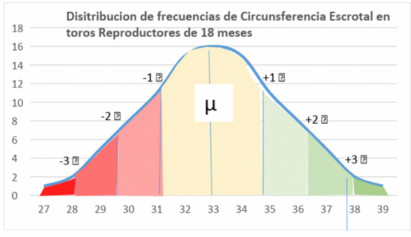 Procesos de selección en bovinos - Image 1