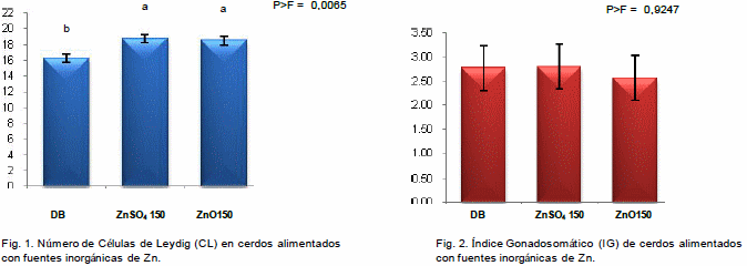 Efecto de la fuente y nivel de Zn en el desarrollo de las células de Leydig en verracos de la etapa de crecimiento - Image 1