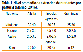 Nutrición intensiva para planteos ganaderos intensivos - Image 2