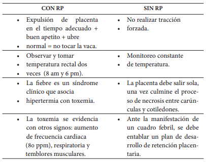 Consecuencias de la retención placentaria. Capítulo VI - Image 1
