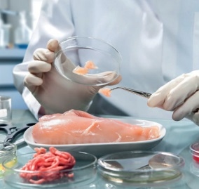 CMK y la vision hacia la inocuidad alimentaria y las bacterias multirresistentes - Image 4