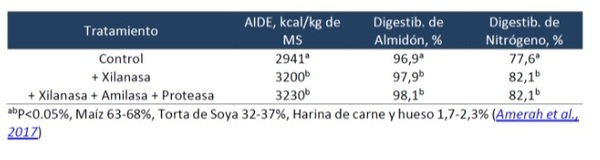 El Uso de Enzimas NSP en la Nutrición Avícola: Mitos y Realidades - Image 1