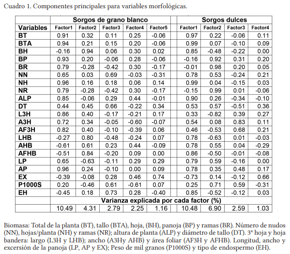 Evaluación de los caracteres morfológicos relacionados con la producción de biomasa en Sorgo. - Image 1