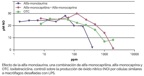 PPA – Un Mejor Enfoque a los Compuestos Antivirales - Image 1