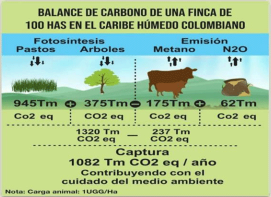 BOTERO - CAPÍTULO IX PASTOREO RACIONAL INTENSIVO VOISIN UNA OPCIÓN PARA INTENSIFICAR Y HACER MÁS AMIGABLE CON EL AMBIENTE LA PRODUCCIÓN CON RUMIANTES EN PASTOREO EN EL TRÓPICO - Image 51