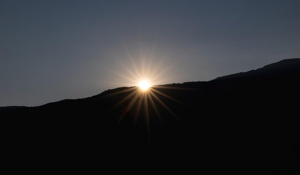 El eco de las alas y los colmillos - Image 1