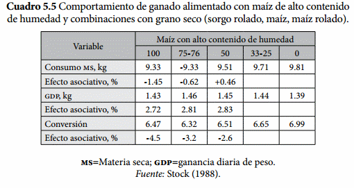 Mezclas de granos - Image 5