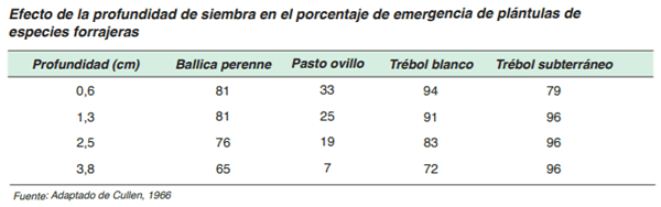 FORRAJERAS - Sistema de siembra - Image 14
