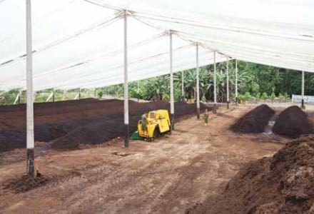 “Compost” El reciclaje de los recursos - Image 3