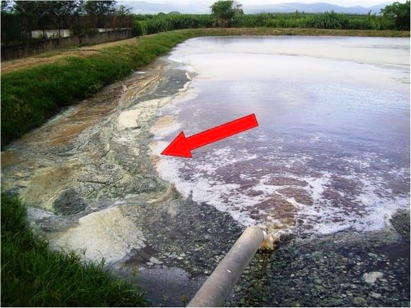 Tratamiento de lagunas de matadero de aves con Oxynova - Image 16