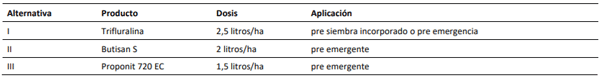 Opciones de herbicidas pre siembra y pre emergente en el cultivo de Col Forrajera