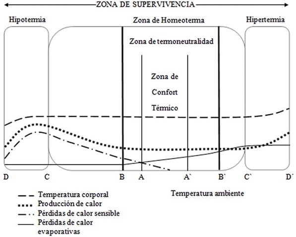 Caracterización del ambiente térmico - Image 1