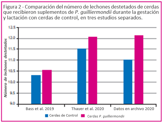 Una nueva levadura entera para aplicaciones de piensos