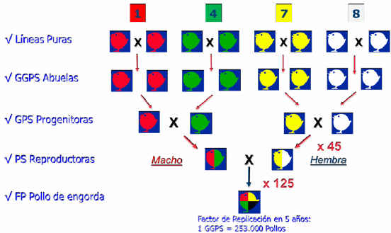 Manejo de Reproductores - Image 1