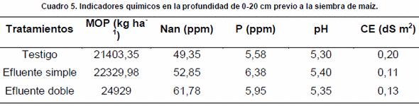 Efecto del efluente porcino como biofertilizante en el rendimiento del cultivo de maíz - Image 5