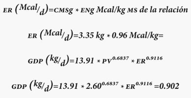Requerimientos Nutricionales - Image 25