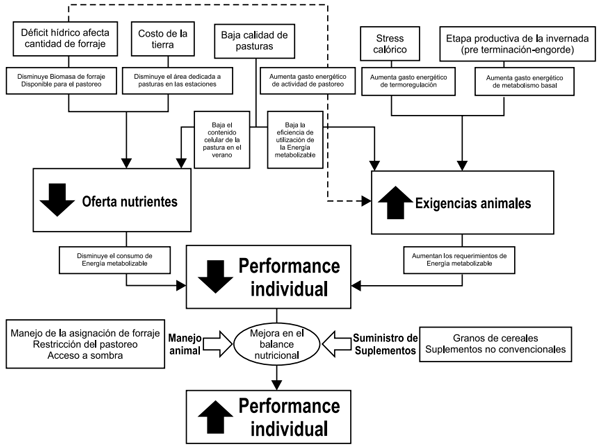 Figura 1. Caracterización de la situación productiva estival en sistemas pastoriles de invernada