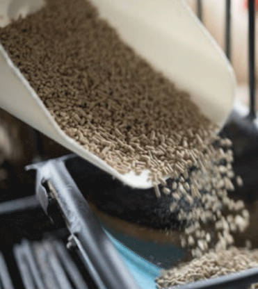 Un tamaño de partícula adecuado para un pienso de destete buscando una molienda más grosera sería de entre 600 y 700 micras.