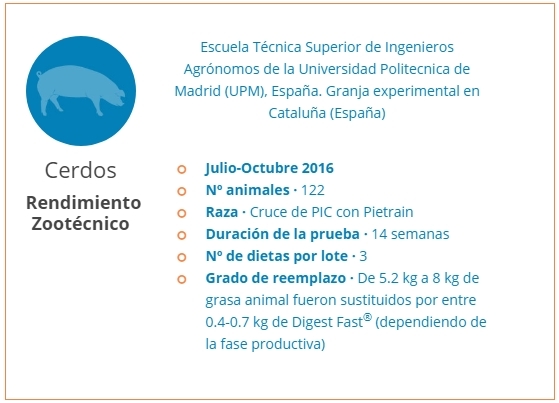 Prueba de eficacia de un biosurfactante para dieta de cerdos - Image 1