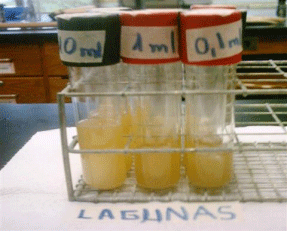 FIGURA 1. Muestras con Caldo Lactosado a diferentes diluciones con resultado positivo a coliformes totales.