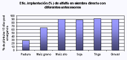 Claves para lograr una pastura exitosa desde el inicio - Image 1