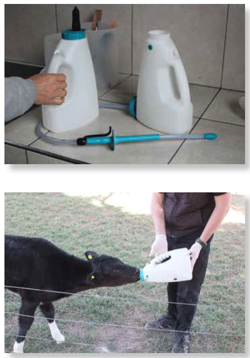 CRIANZA - Rehidratación en terneros - Image 1