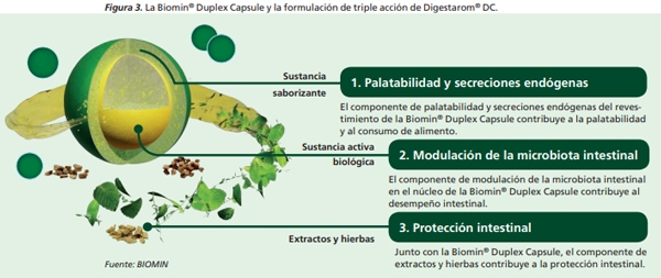 Cómo lograr una conversión alimenticia de nueva generación - Image 3