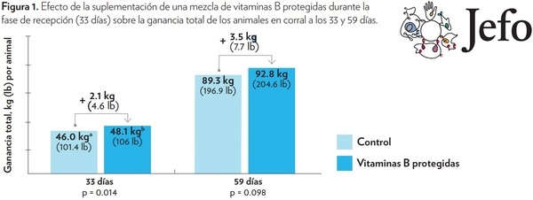 EFECTO DE LA SUPLEMENTACIÓN DE VITAMINAS B PROTEGIDAS DURANTE LA FASE DE RECEPCIÓN EN EL DESEMPEÑO DEL GANADO DE CARNE - Image 3