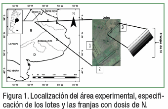 Análisis de ensayos en franjas para la fertilización variable de nitrógeno - Image 1