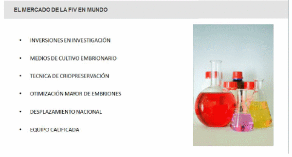 Transferencia de embriones en ganado lechero - Image 3