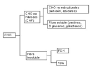 Figura 2. Fracciones analíticas de los carbohidratos.