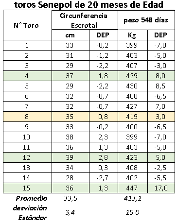 Procesos de selección en bovinos - Image 2