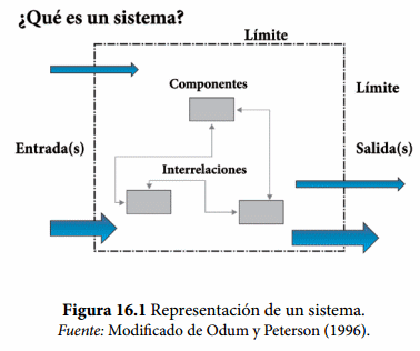 Uso de modelos de simulación en corrales de engorda - Image 1