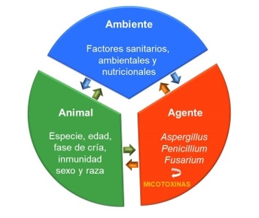 Gestión del Riesgo Micotoxinas a través de la tecnología NIR - Image 1