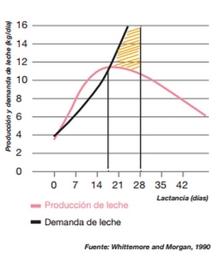 Potenciador del consumo para lechones - Image 8