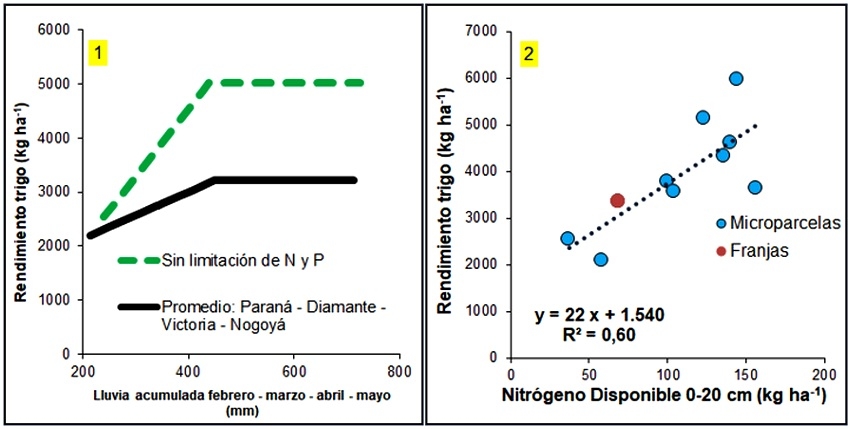 Fertilización del cultivo de trigo en Entre Ríos - Image 2