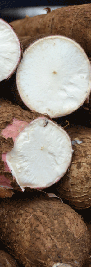 harina de yuca