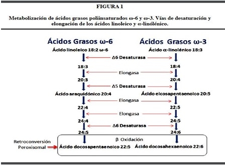 ¿LACARNE DE ENGORDE ACORRAL “SIEMPRE” TIENE MEJOR CALIDAD QUE LA DE ENGORDE PASTORIL? - Image 2
