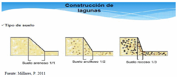 Pautas básicas para el manejo de efluente porcino - Image 5