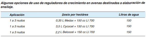 FORRAJERAS - Forrajes suplementarios - Image 6