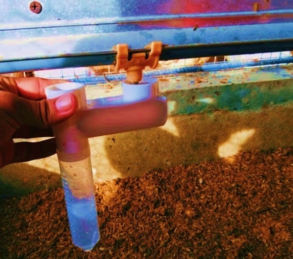 Agua - Image 2