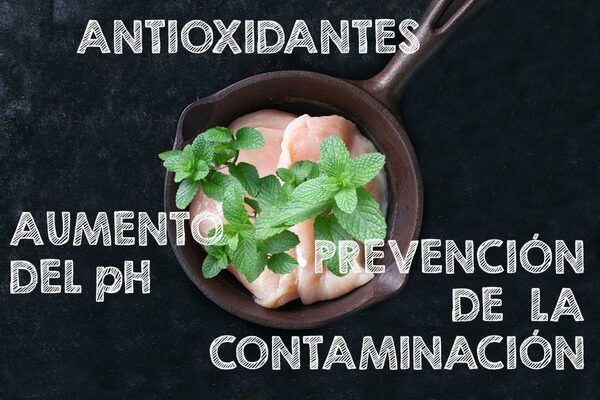 ¿Cómo afecta el estrés térmico a la calidad de la carne de pollo? - Image 5