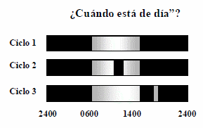 Reproductoras pesadas levantadas con oscurecimiento para control de uniformidad al inicio de postura - Image 1