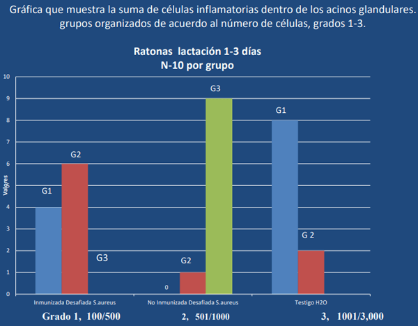 Bacterina Eco Staph PM+3 y Auto bacterinas - Image 15