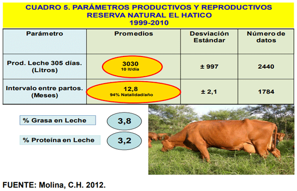 PARÁMETROS PRODUCTIVOS, REPRODUCTIVOS Y DE CALIDAD DE LECHE EN UN SISTEMA SILVOPASTORIL INTENSIVO – SSPi