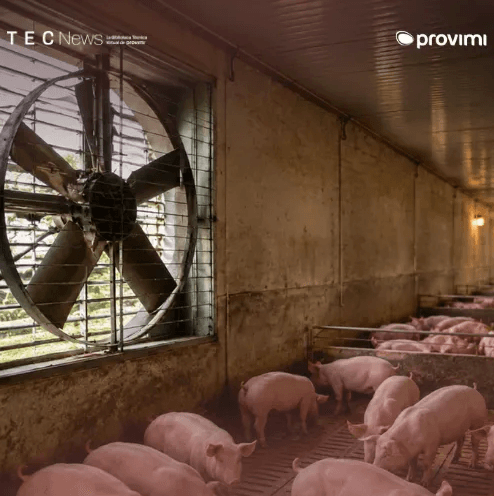 AMONÍACO EN GRANJAS PORCINAS: VENTILAR MÁS PUEDE DILUIR EL PROBLEMA PERO NO RESOLVERLO - Image 1